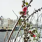 B&B Biervliet